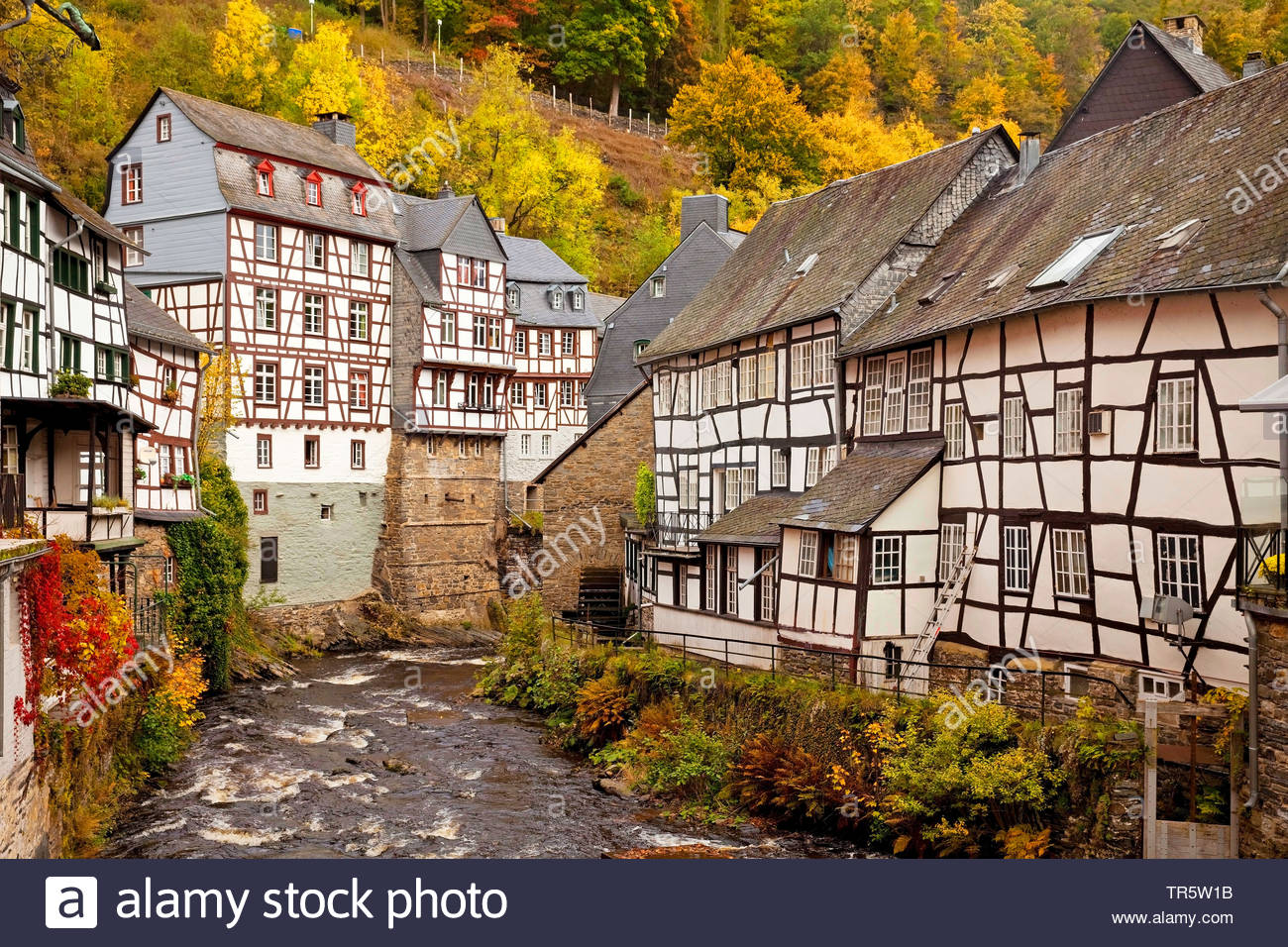 Illustration. Excursion en autobus à Montjoie, Maastricht. Автобусная экскурсия в Моншау, Мастрихт. Source c8.alamy.com - alamy stock photo. 2021-10-30